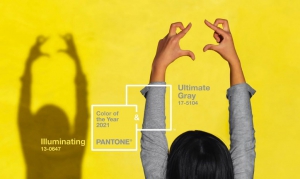 2021 Pantone Yılın Rengi